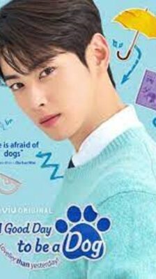 A Good Day To Be A Dog (2023) ซับไทย (จบ)