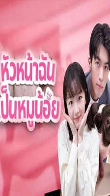 My Piggy Boss (2024) หัวหน้าฉันเป็นหมูน้อย ซับไทย (จบ)